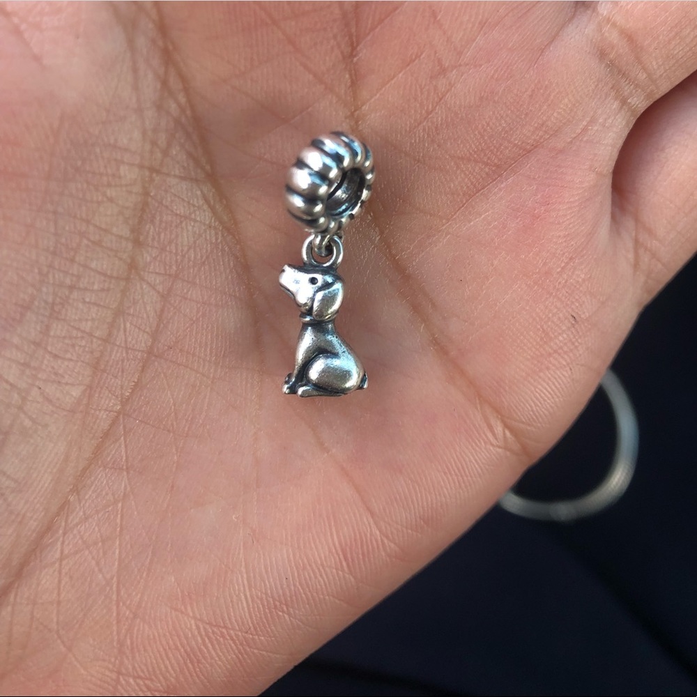 Pandora charm